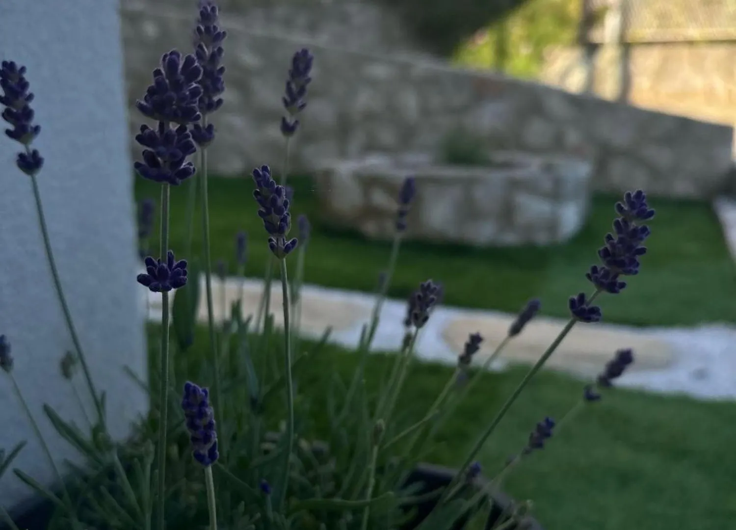 Appartement Villa Poljana Mali Lošinj